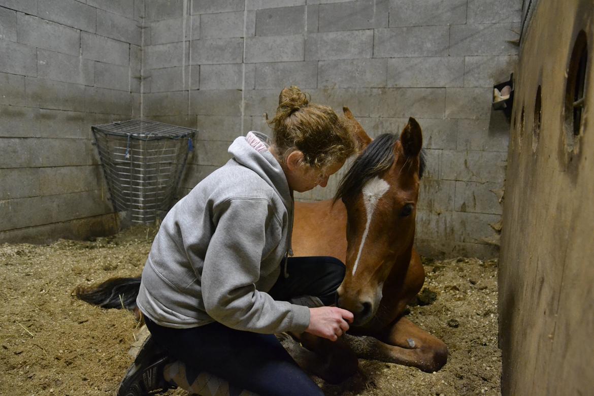 DSP Birkemøllens dea billede 9