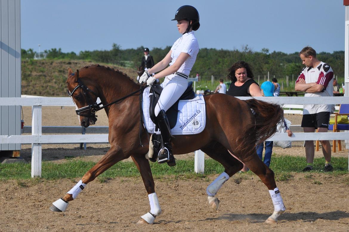 DSP Zendro A-PONY billede 2