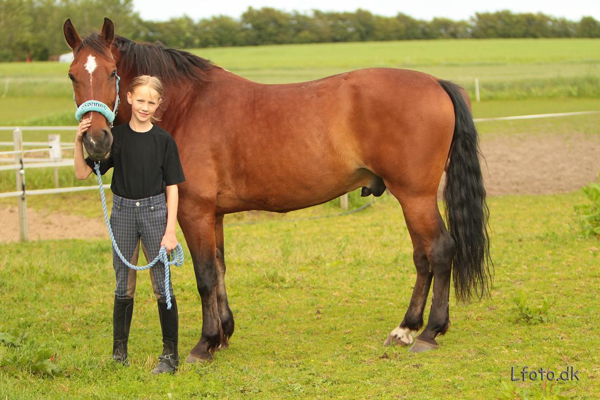Anden særlig race claus billede 3