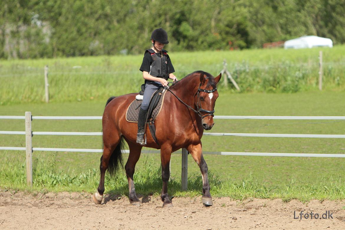 Anden særlig race claus billede 8