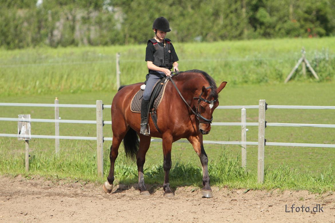 Anden særlig race claus billede 11