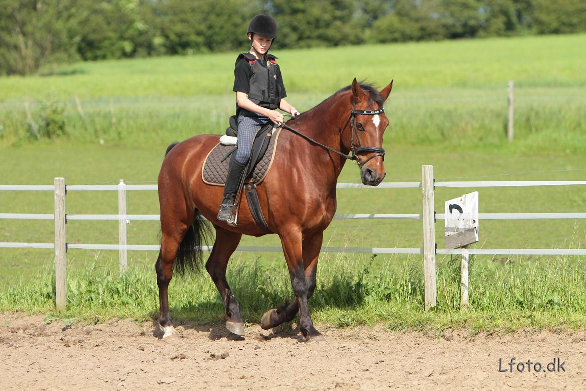 Anden særlig race claus billede 12