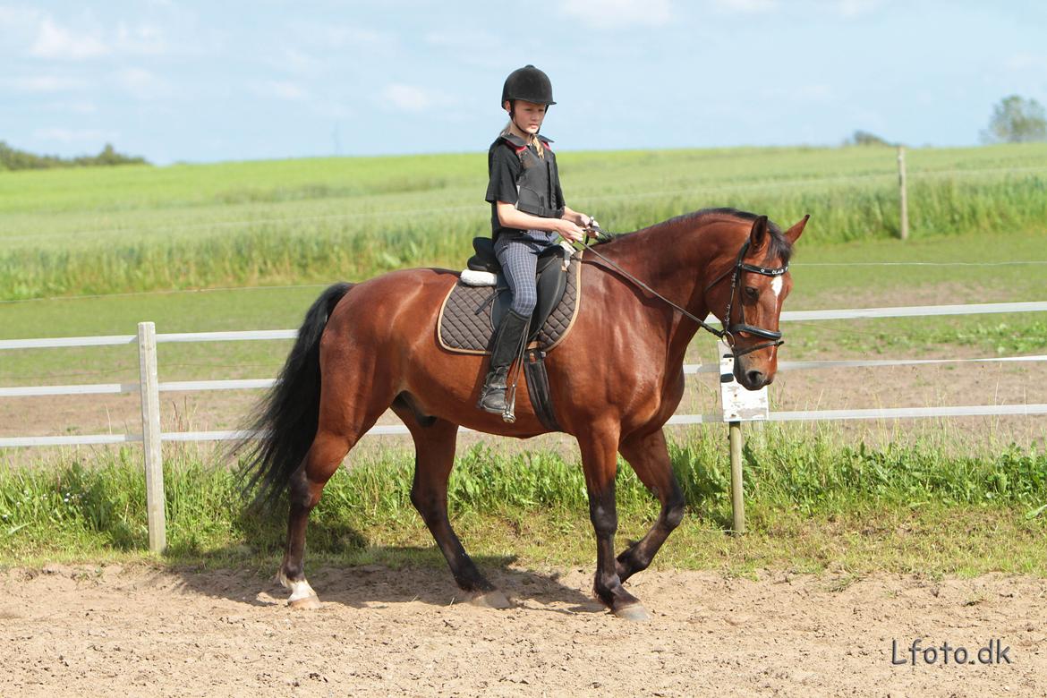 Anden særlig race claus billede 13