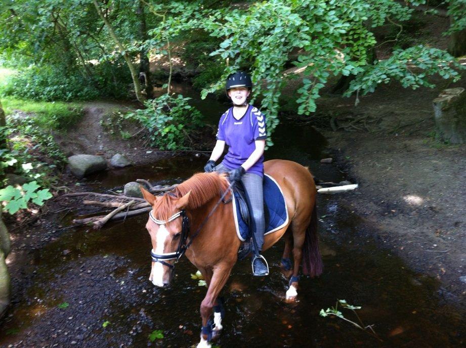 Connemara Amanda billede 4