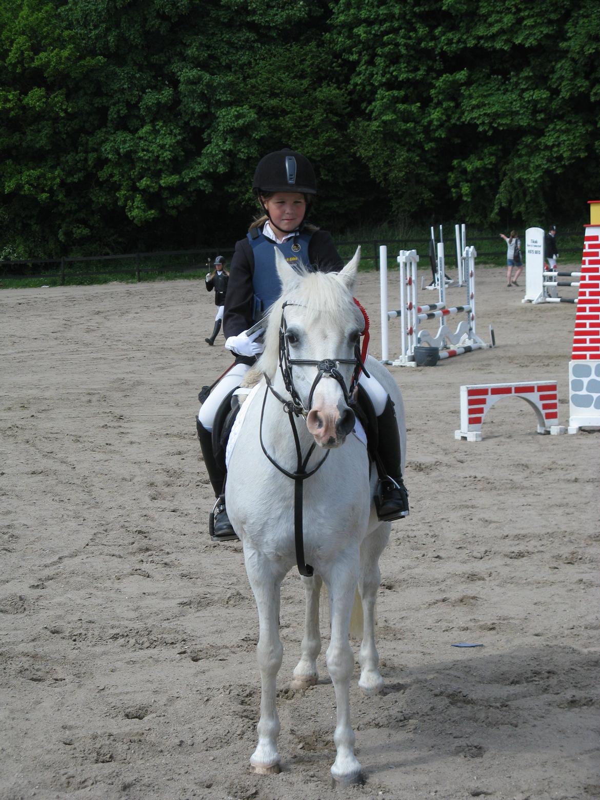 Welsh Cob (sec D) lana sds 35 R.I.P - Min dejlige vinder pony!! <3 billede 14