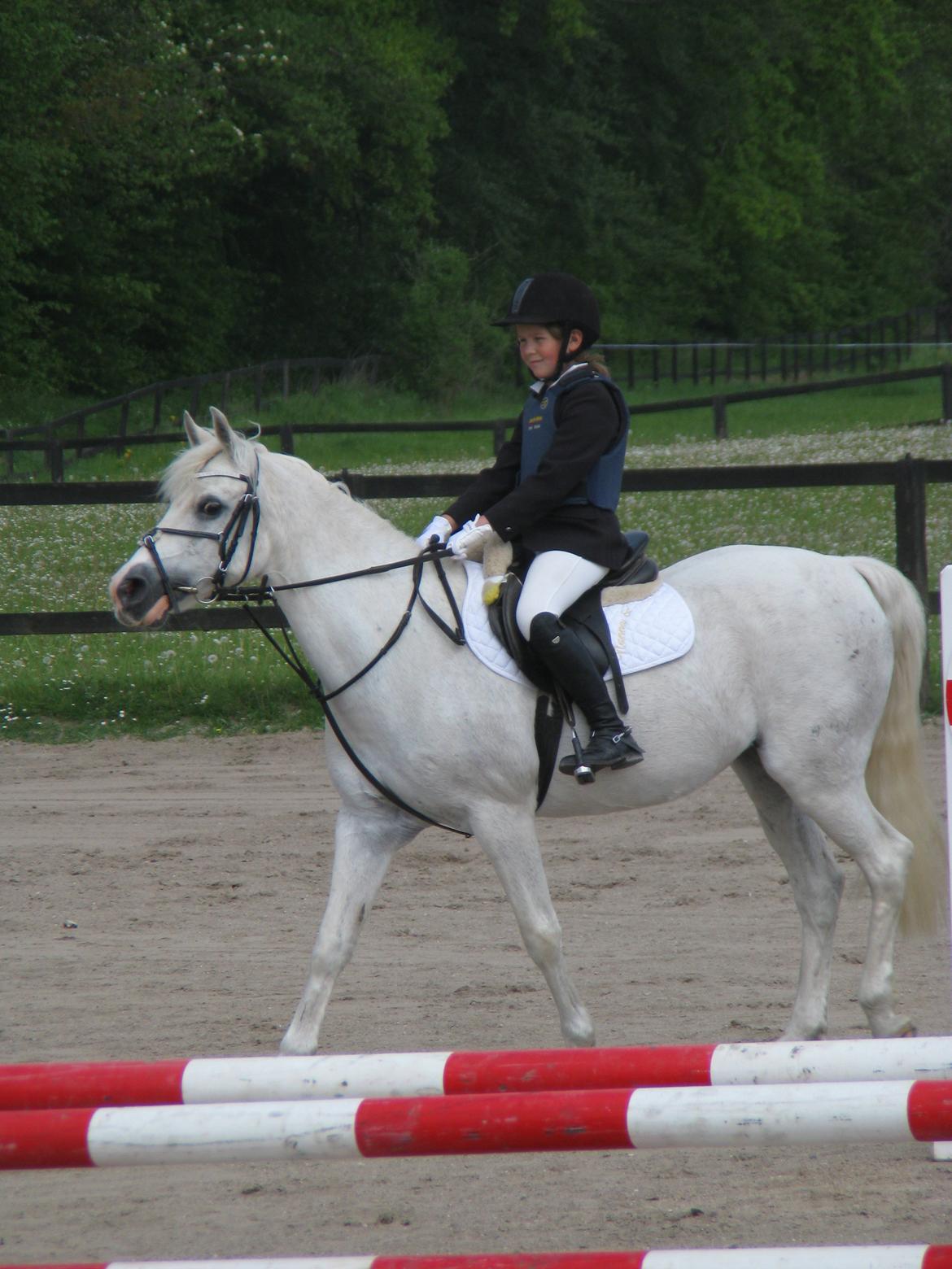 Welsh Cob (sec D) lana sds 35 R.I.P - På vej ind på banen på NSR :) billede 9