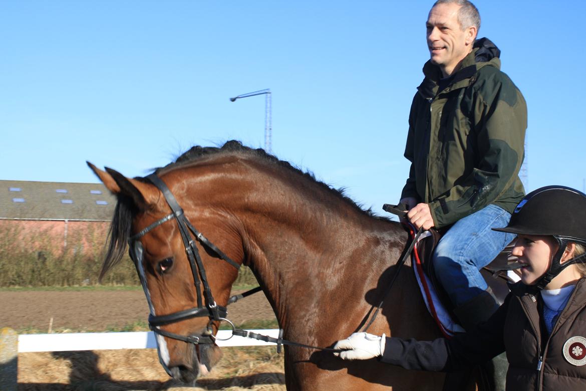 Dansk Varmblod Carpe Diem - Far får lige en tur :-) billede 6