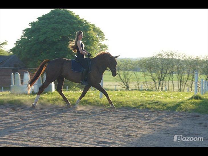 {{currentPhoto.altText}} billede {{currentPhoto.number}}