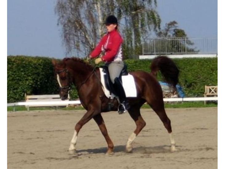 {{currentPhoto.altText}} billede {{currentPhoto.number}}