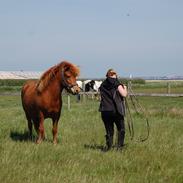 Islænder Floki fra Klegod