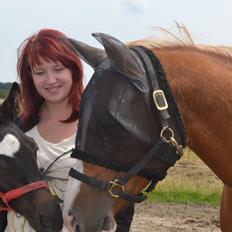 Dansk Varmblod Egevangens Loutana F R.I.P