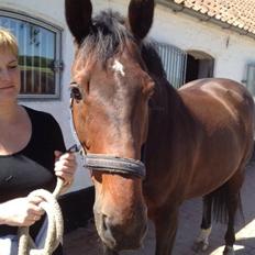 Holstener Mailunds Lalina