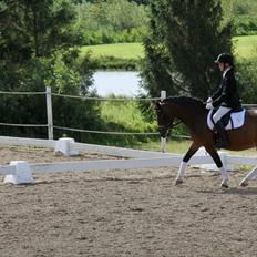 DSP Tværhøjgårds Athene