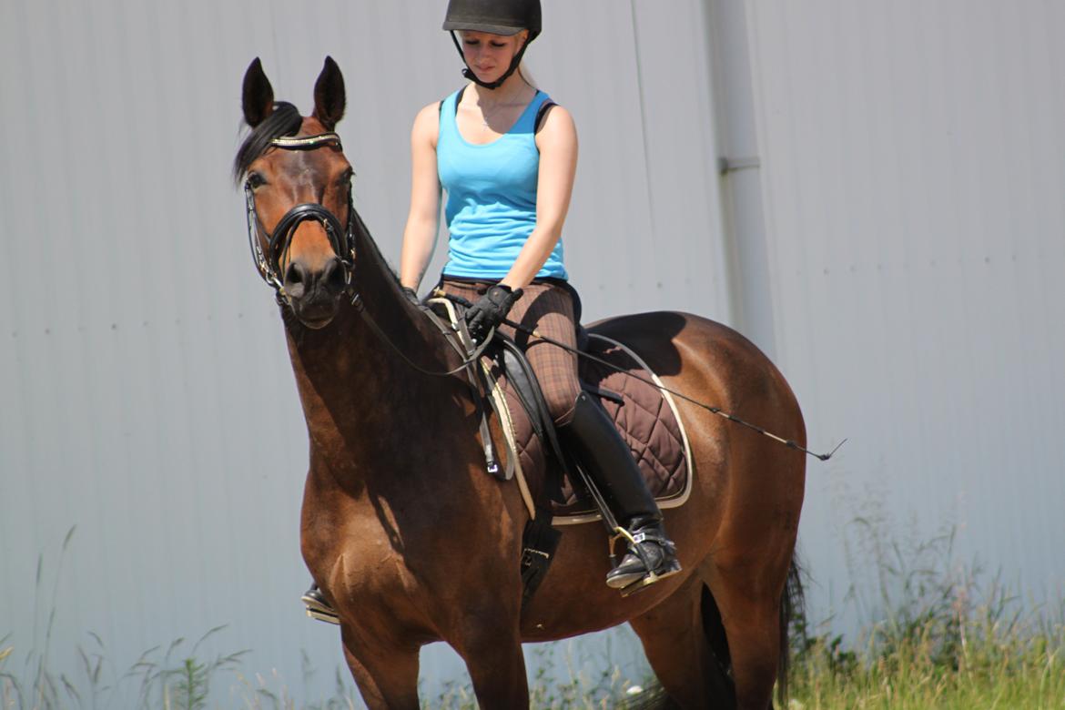 Oldenborg Drisdal's Faith - 1/7-12 .. Foto: Kit Conradsen billede 19