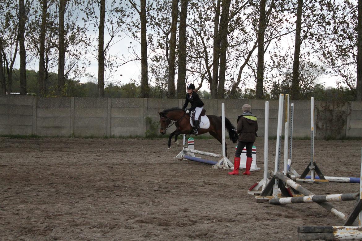 DSP Mandi billede 10