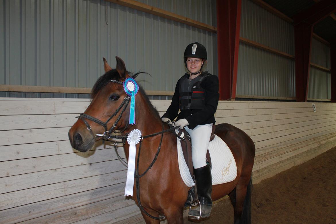 DSP Mandi billede 11