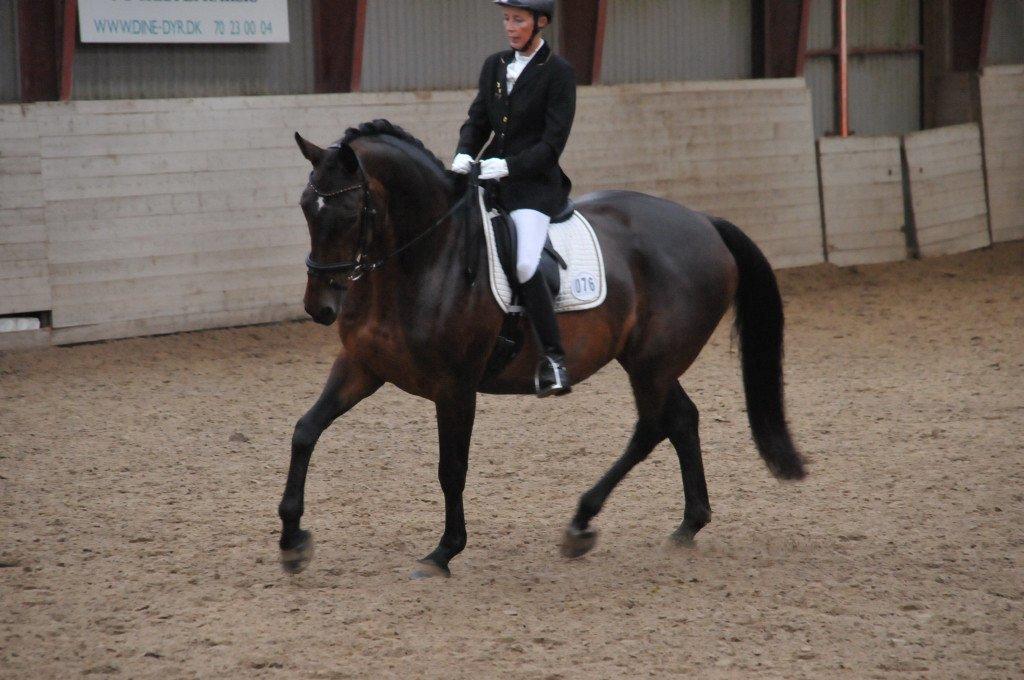 Dansk Varmblod Grevens Lotus - Mor og Lotus til deres 3. stævne sammen, sommerstævne på Åstrup juli 2012. De fik deres første rosette med en 5. plads i LA4 til 62% billede 20