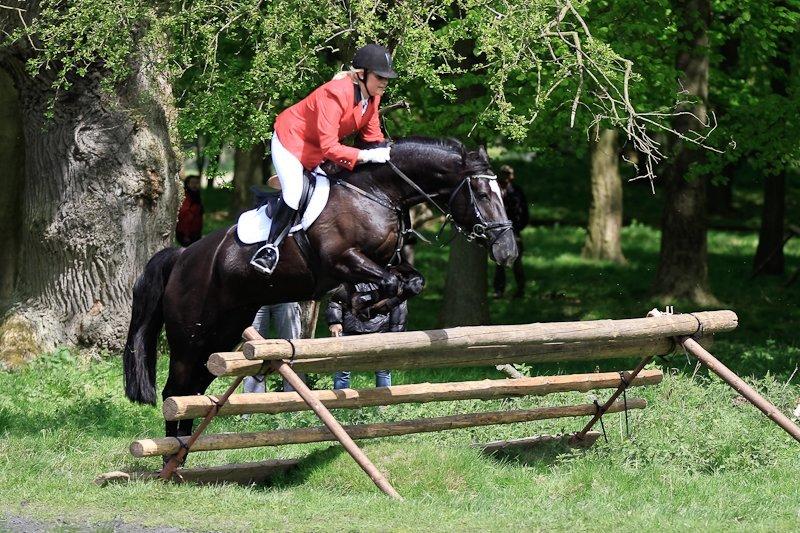 Anden særlig race Anna Bell Cahors billede 11