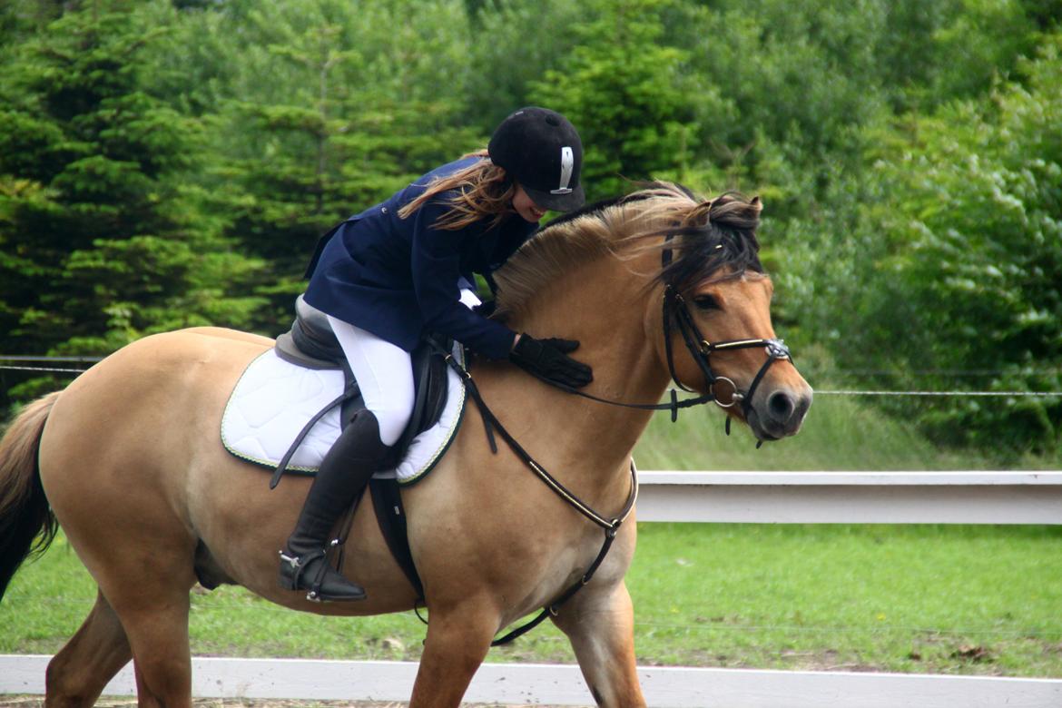 Anden særlig race Lukas billede 13