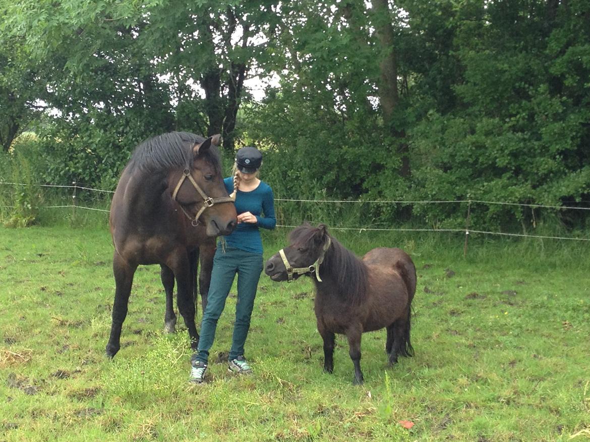 Oldenborg odessa - Odessa og Mille billede 2