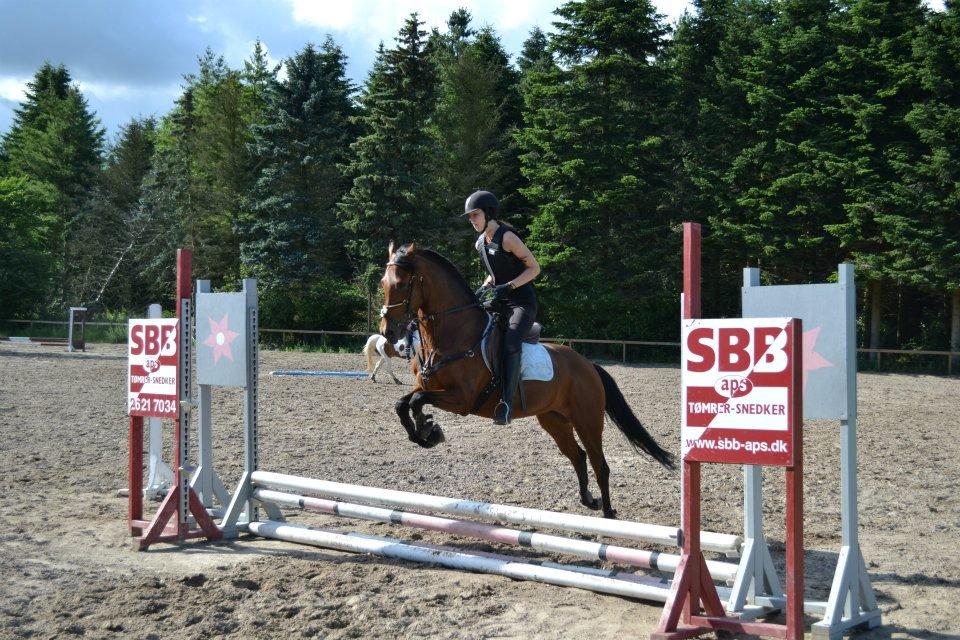 Anden særlig race starlight (R.I.P) <3 - Starlight og jeg springer 

12/7-12 billede 9