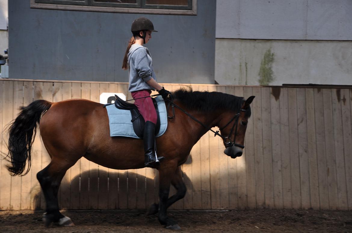 Anden særlig race Misty - Man ved først, hvad man har haft, når man har mistet det. billede 7