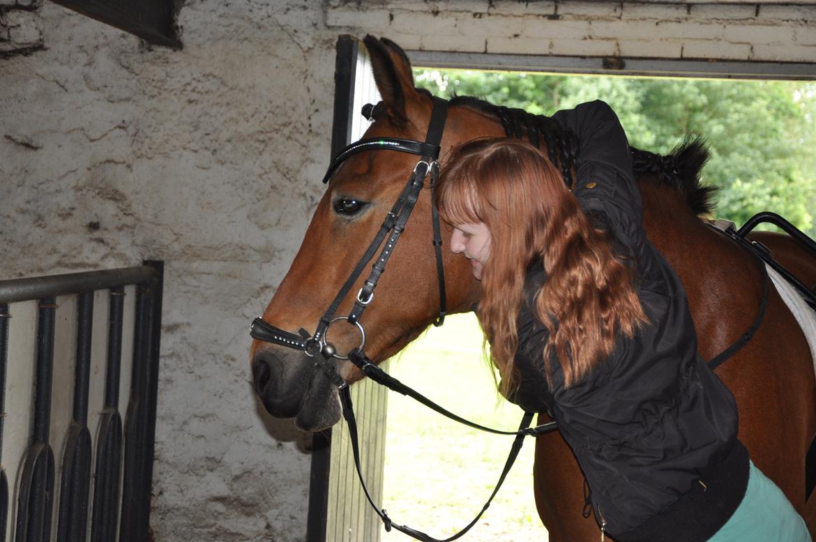 Anden særlig race Misty billede 12