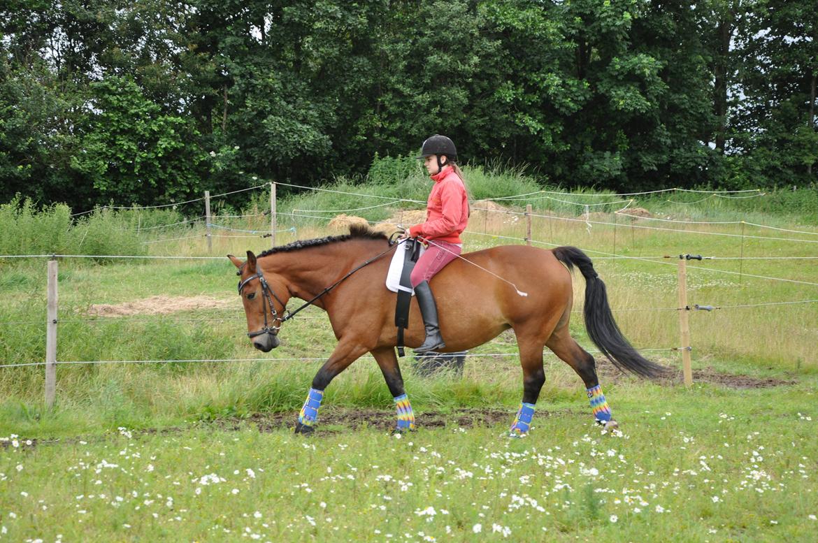 Anden særlig race Misty - Al sorg, al angst handler om en tilknytning til et andet individ, som er blevet brudt, eller risikerer at blive brudt. Al sorg er kærlighedens pris billede 15