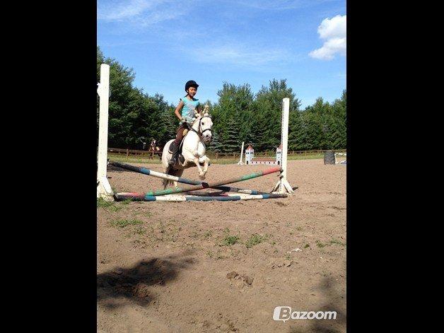Anden særlig race Dalton *Dalle* {rideskole pony} - mig og dalle spring sidste gang inden sommerferien
foto: nanna svarre billede 1