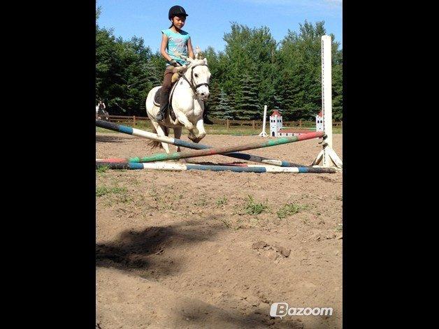 Anden særlig race Dalton *Dalle* {rideskole pony} - mig og dalle spring sidste gang inden sommerferien
foto: nanna svarre billede 2
