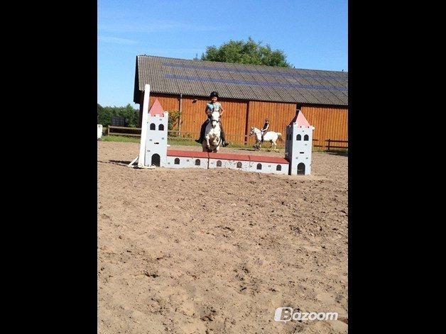 Anden særlig race Dalton *Dalle* {rideskole pony} - mig og dalle spring sidste gang inden sommerferien
foto: nanna svarre billede 3