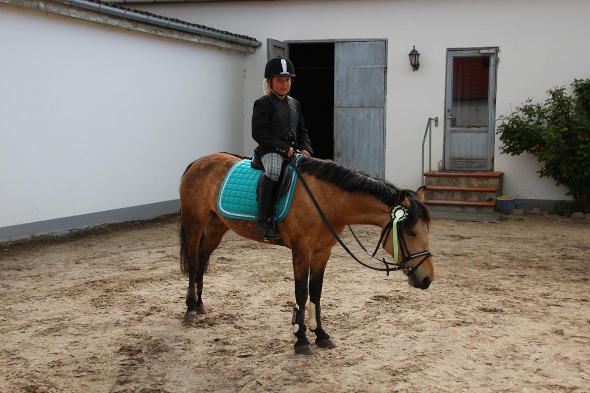 Anden særlig race Digelsgaardens Ginger(My little Girl)<3 <3 - Første sløjfe sammen vi har vundet to men har jo kun redet hende lidt over en måned!!:D billede 6