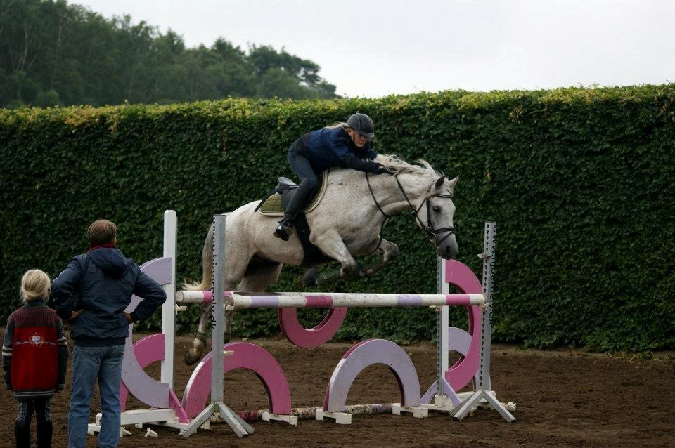 Connemara - Hedegårdens Junker |B-pony| - Undervisning af Flemming Lund på ridelejr ( 110 cm.) billede 10