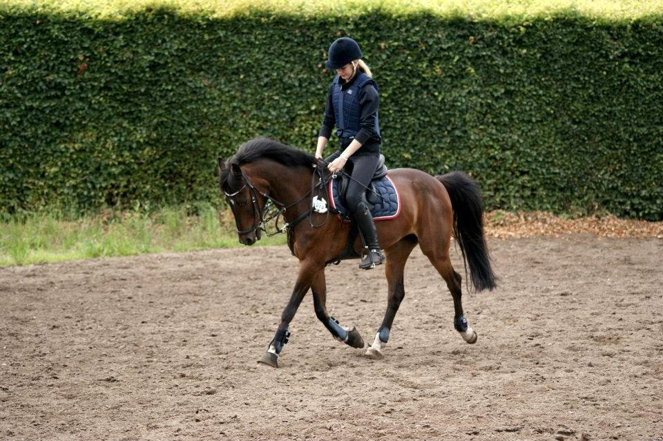 Tysk Sportspony Timo 215¨ - Dressur, hos Tina d. 9 Juli 2012. 
Fotograf: Amanda Piil billede 5