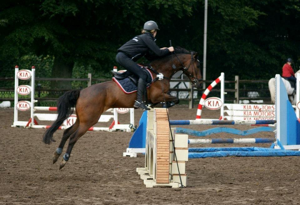 Tysk Sportspony Timo 215¨ - Spring(90cm.) hos Tina d. 11 Juli 2012.
Fotograf: Amanda Piil  billede 7