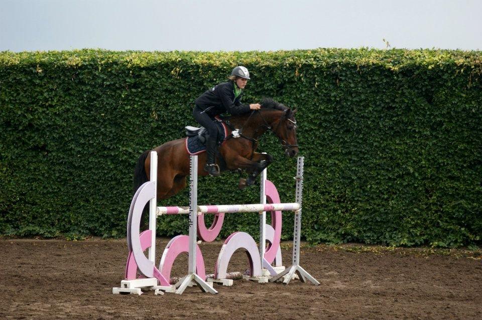 Tysk Sportspony Timo 215¨ - Spring(100cm.) hos Tina d. 11 Juli 2012.
Fotograf: Amanda Piil. billede 2