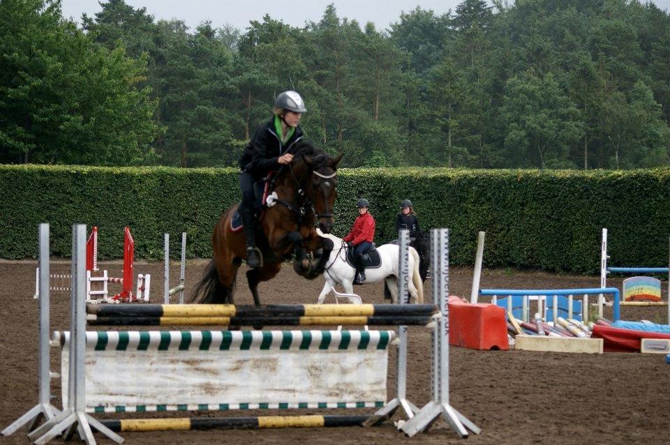 Tysk Sportspony Timo 215¨ - Spring(110cm.) hos Tina d. 11 Juli 2012.
Fotograf: Amanda Piil. billede 8