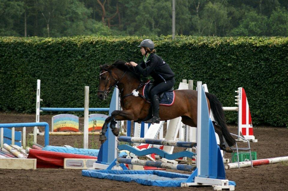 Tysk Sportspony Timo 215¨ - Spring(80cm.) hos Tina d. 11 Juli 2012.
Fotograf: Amanda Piil. billede 12
