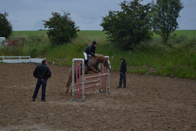 Anden særlig race Poffi ( verdens sødeste pony ) billede 2