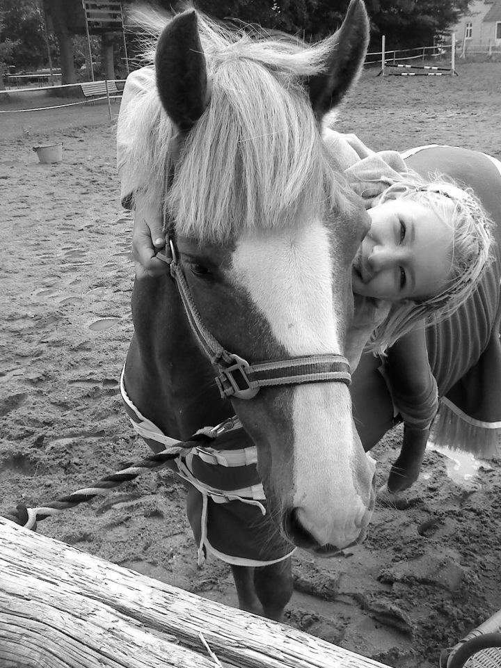 Anden særlig race Poffi ( verdens sødeste pony ) billede 3