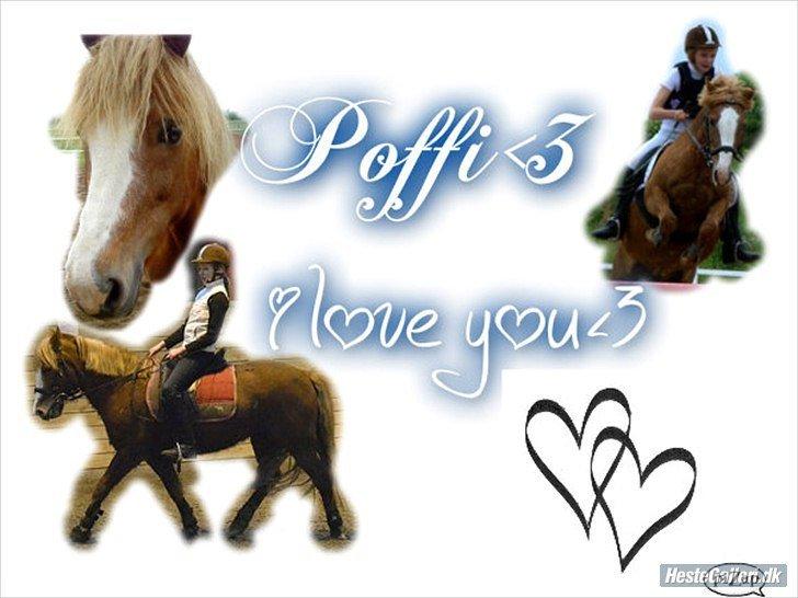 Anden særlig race Poffi ( verdens sødeste pony ) billede 11