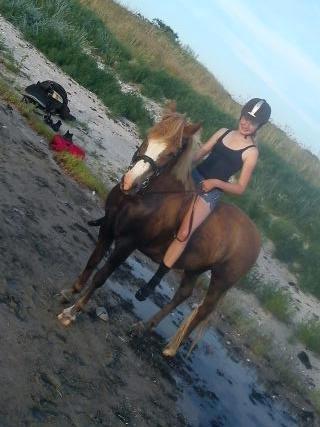 Anden særlig race Poffi ( verdens sødeste pony ) billede 13