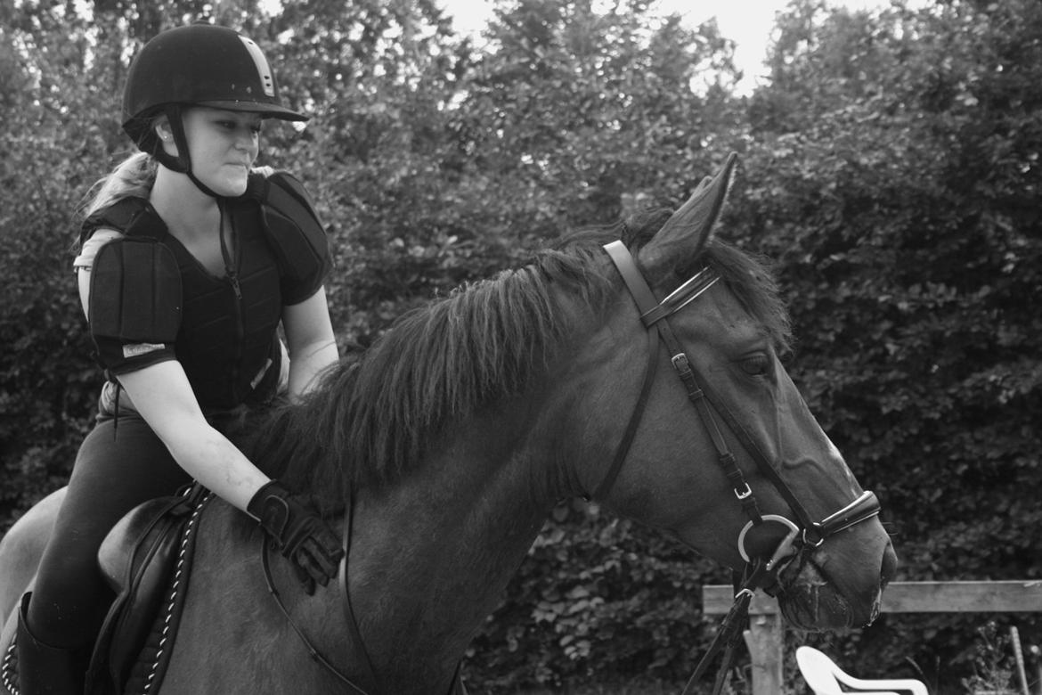 Anden særlig race Flatteur billede 7