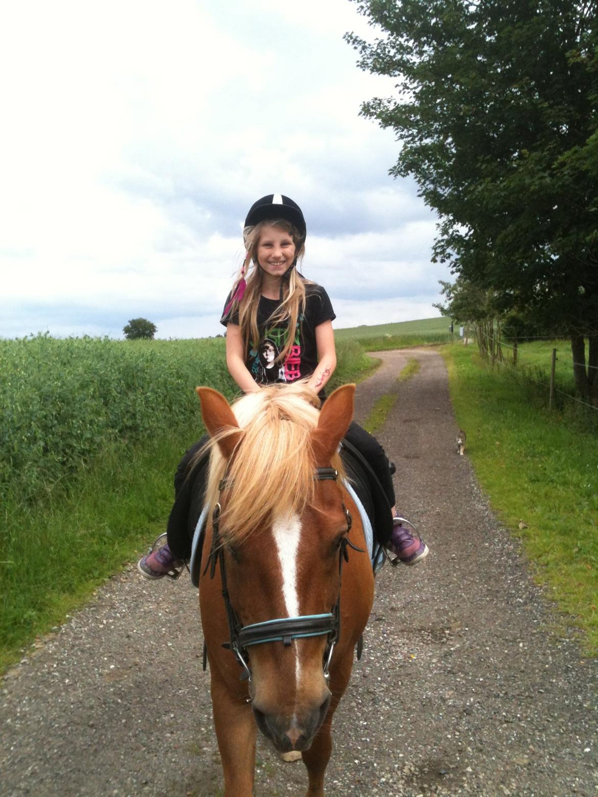 Anden særlig race Tasano - Man ved at man har en awesome kusine, når hun tør galoppere en hest, der er på højde med hende selv. billede 30