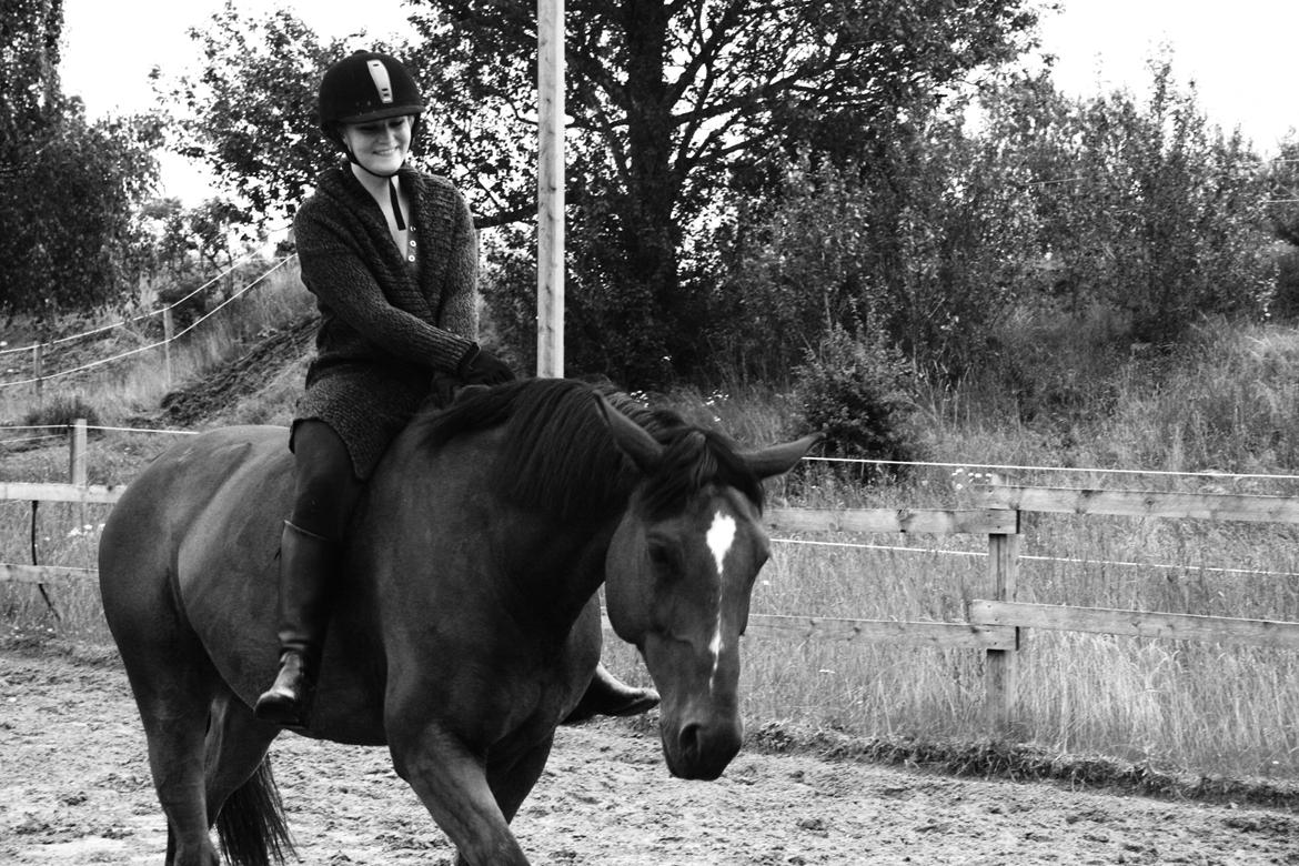 Anden særlig race Flatteur billede 18