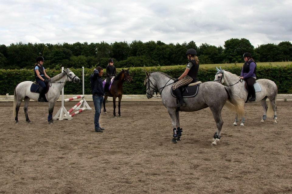 Anden særlig race MC Zoya Z billede 7