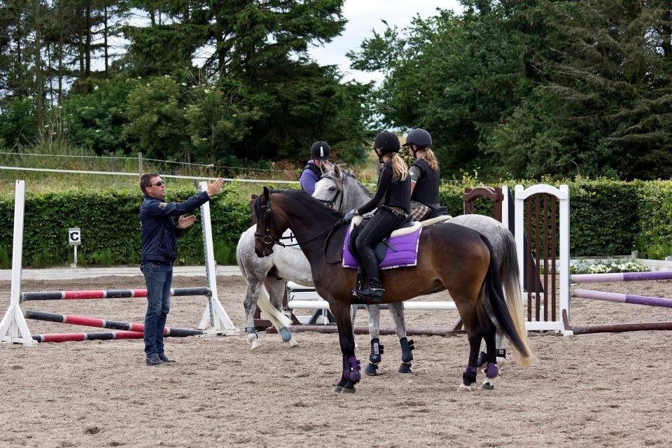 Anden særlig race MC Zoya Z billede 6