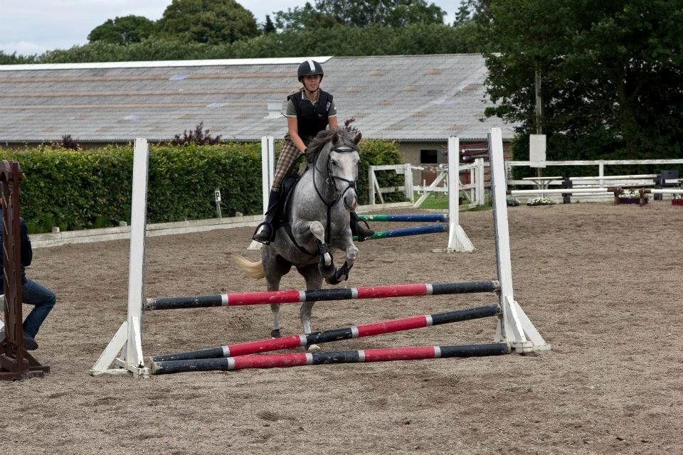 Anden særlig race MC Zoya Z billede 2