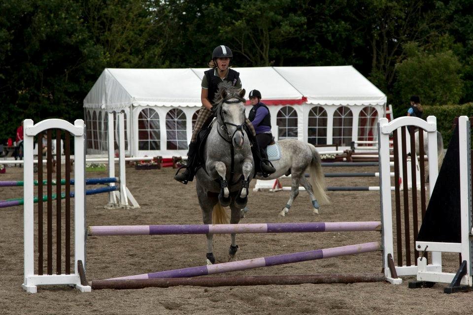 Anden særlig race MC Zoya Z billede 8