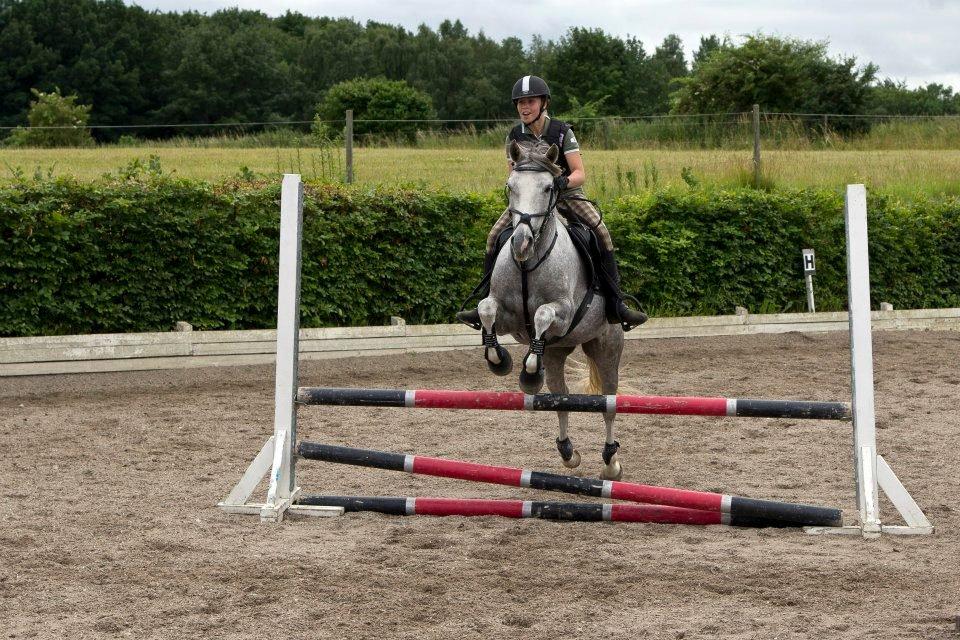 Anden særlig race MC Zoya Z billede 11